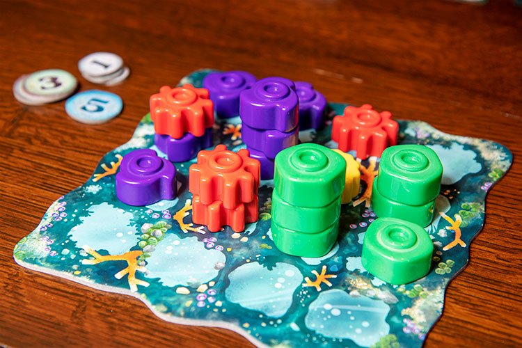 Experiencia de juego Reef